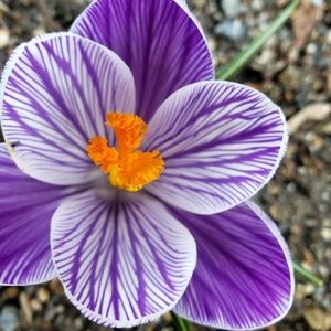 Meet your Posher, Irina